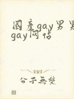 国产gay男男gay网站