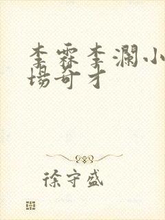 李霖李澜小说官场奇才封面