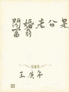 闪婚老公是亿万富翁封面