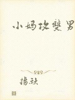 小妈攻双男主封面