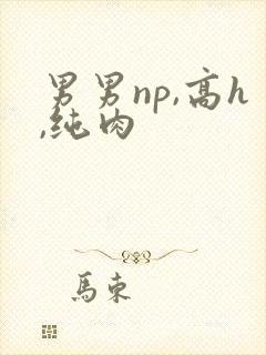 男男np,高h,纯肉