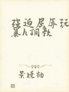 强迫屈辱玩弄粗暴h调教