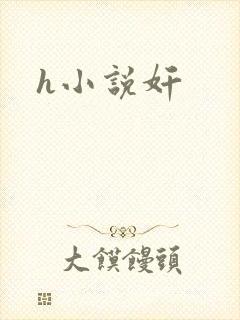 h小说奸