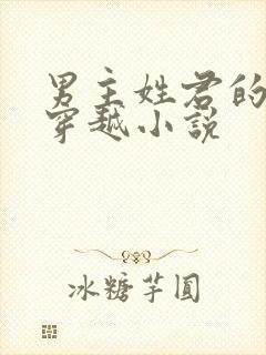 男主姓君的古代穿越小说