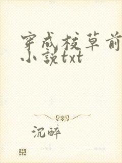 穿成校草前男友小说txt