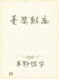 忧思难忘封面