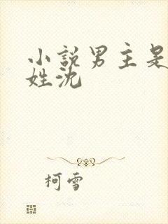 小说男主是律师姓沈