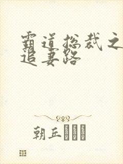 霸道总裁之漫漫追妻路