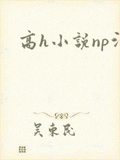高h小说np污
