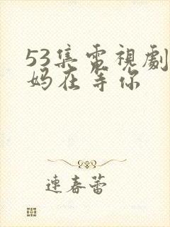53集电视剧妈妈在等你
