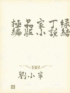 极品家丁绿帽改编版小说结局徐芷晴