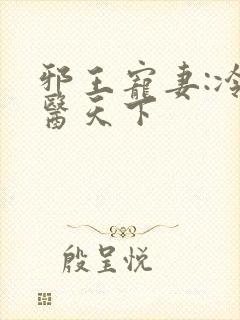 邪王宠妻:冷妃医天下