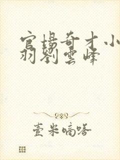 官场奇才小说陆羽刘云峰封面