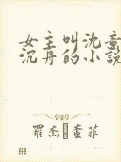 女主叫沈意欢陆沉舟的小说