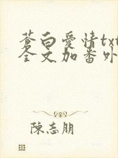 苍白爱情txt全文加番外封面