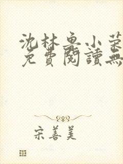 沈林鲁小荣小说免费阅读无弹窗