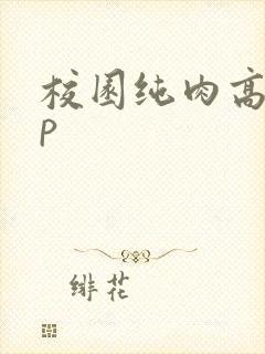 校园纯肉高hnp
