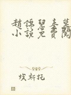 赵锦儿秦慕修的小说免费阅读全文