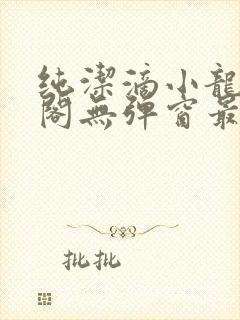 纯洁滴小龙笔趣阁无弹窗最新章节阅