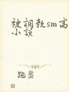 被调教sm高h小说