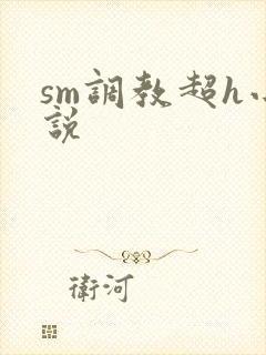 sm调教超h小说