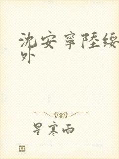 沈安宁陆绥安番外封面
