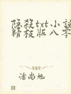 隐杀txt小说精校版八零电子书