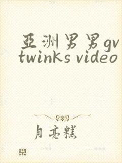 亚洲男男gv twinks video