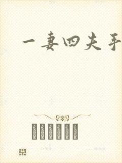 一妻四夫手记封面
