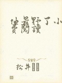 他最野了小说免费阅读