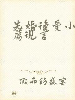 先婚后爱小说推荐现言