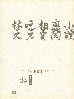 林晚相恋小说全文免费阅读封面