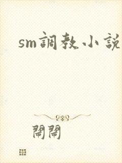 sm调教小说h