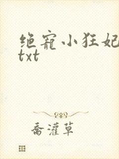 绝宠小狂妃下载txt