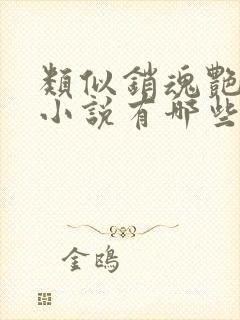 类似销魂艳婢的小说有哪些?