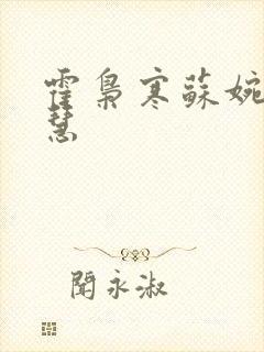 霍枭寒苏婉苏晓慧