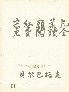 宋红颜叶凡小说免费阅读全文