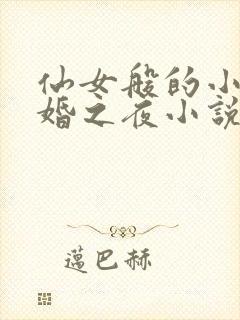 仙女般的小姨新婚之夜小说