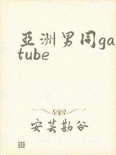 亚洲男同gaytube