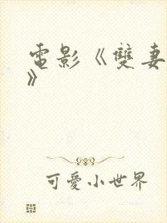 电影《双妻艳史》