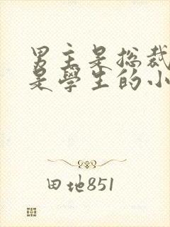 男主是总裁女主是学生的小说