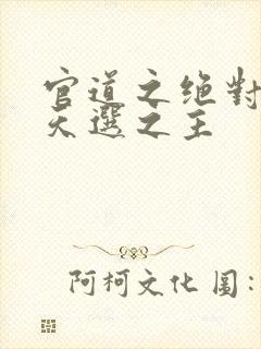 官道之绝对权力天选之主