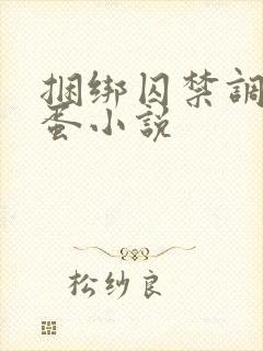 捆绑囚禁调教跳蛋小说封面