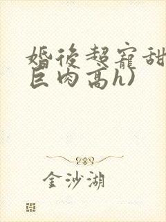 婚后超宠甜文(巨肉高h)