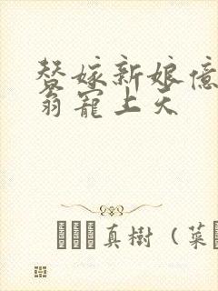 替嫁新娘亿万富翁宠上天