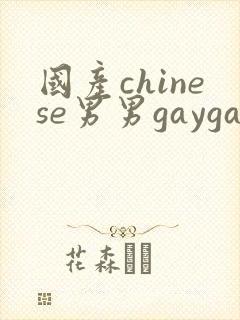 国产chinese男男gaygay网站, chinese