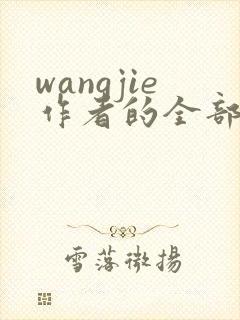wangjie作者的全部小说有哪些