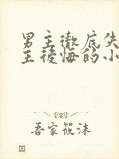 男主彻底失去女主后悔的小说