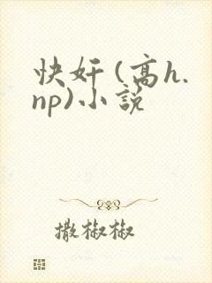 快奸 (高h.np)小说