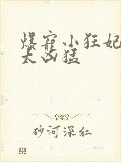 爆宠小狂妃皇叔太凶猛